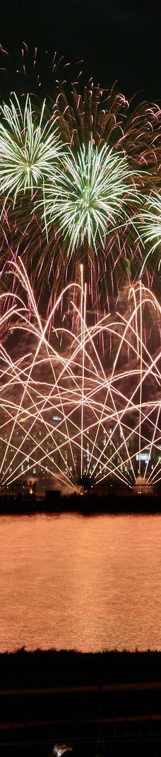 汝矣岛汉江公园-首尔