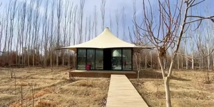 大漠湖楊生態景區