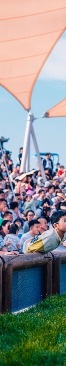 渔田七里海度假区-昌黎