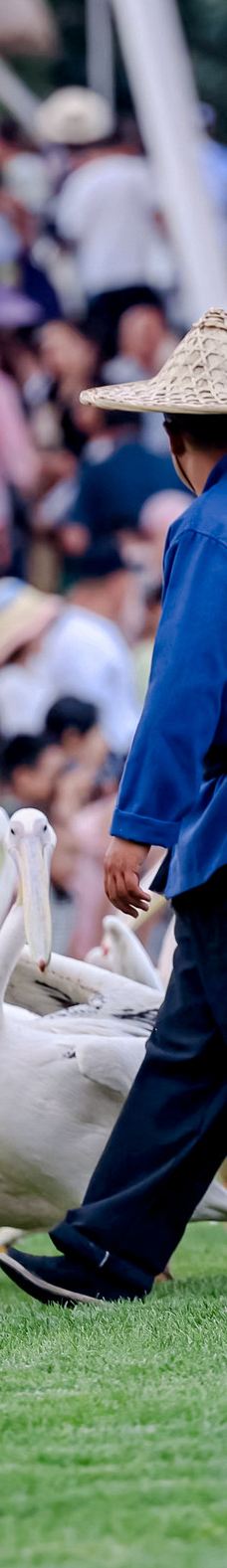 渔田七里海度假区-昌黎