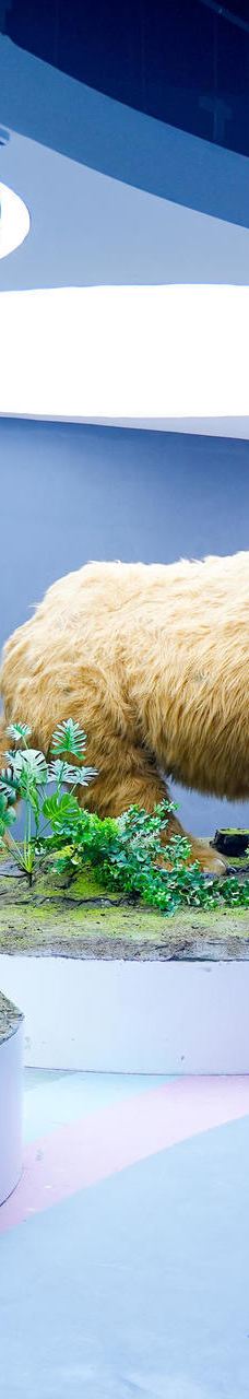 海趣花都海洋世界-昆明