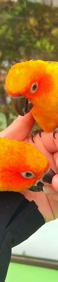 兰阳动植物王国-宜兰