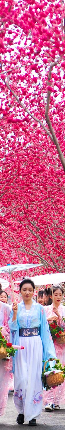 郑州中国绿化博览园-中牟