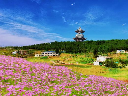 昭化药博园