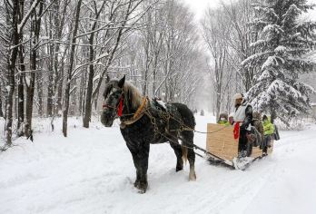牡丹江横道河子虎园+虎峰岭一日游【精品小团|穿雪岭|赏雾凇】【百年小镇：东北还有一个必打卡的小镇—横道河子，俄式老街，东正教堂，远东机车库，火车站都是大片。】