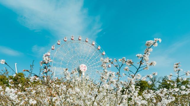 东湖之眼摩天轮