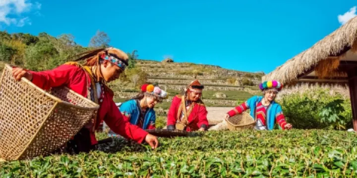 優遊吧斯鄒族文化部落