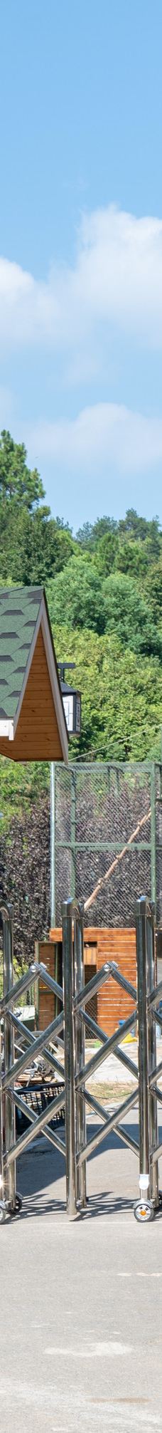 桐城动物园-桐城