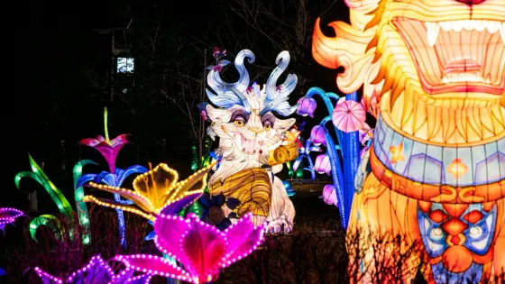馬鞍山國家森林公園