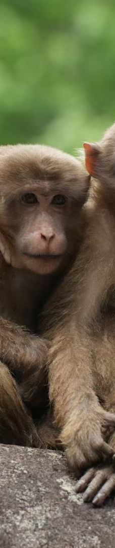 武夷山国家公园1号风景道-武夷山