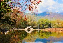 宏村景区景点图片