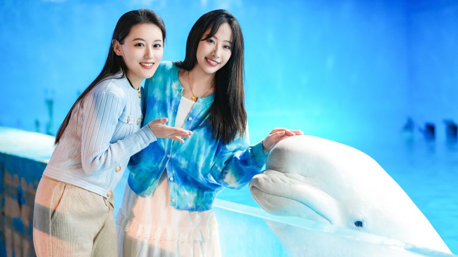 海合安天津极地海洋公园