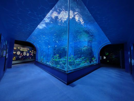 湖口县水族馆