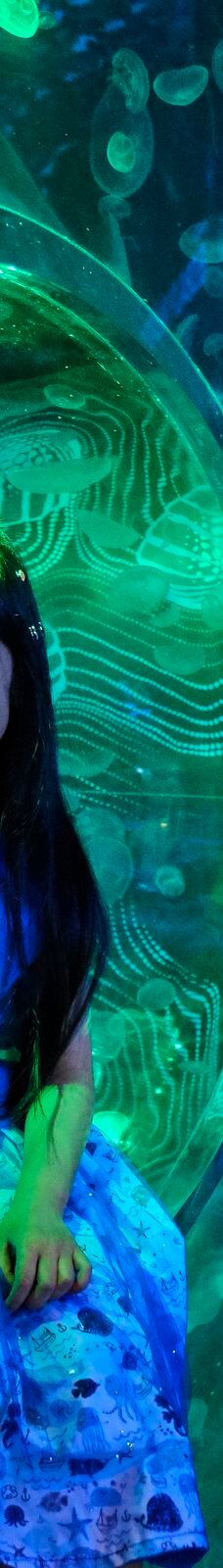 墨尔本水族馆-墨尔本