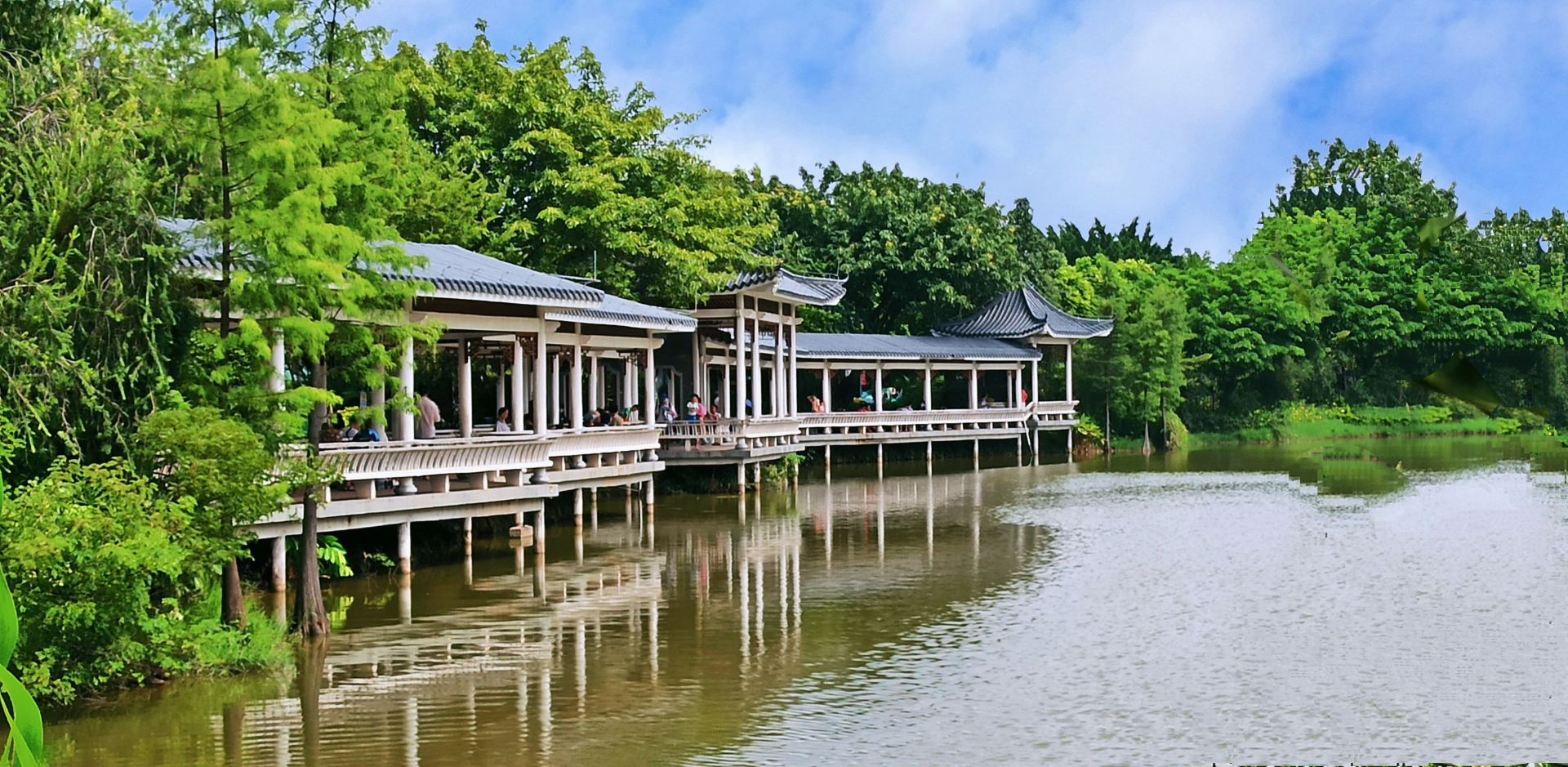 广州市儿童公园景点图片 4