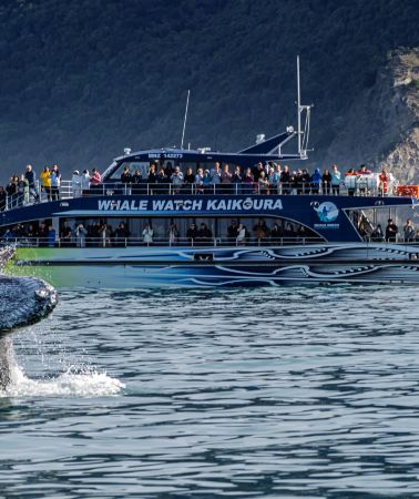 13D12N • North Island, New Zealand - South Island - Kaikoura - Milford Sound - Aoraki Mount Cook