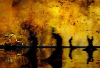 赳赳大秦[赠汉服拍摄（妆造＋汉服拍摄）+兵马俑人工讲解]【自由选择座位区域】