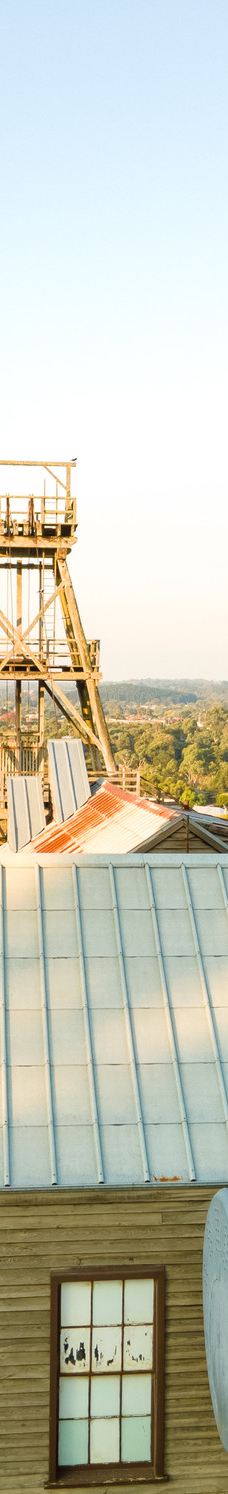 疏芬山-Golden Point