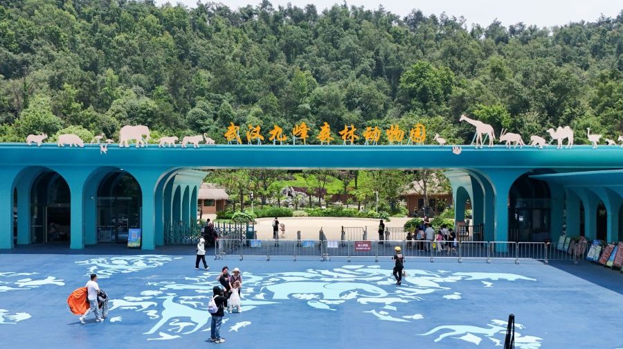 武汉九峰森林动物园