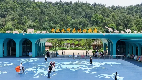 武漢九峰森林動物園