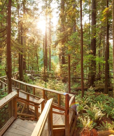 5D4N • Vancouver + Victoria + Whistler - Stanley Park · Capilano Suspension Bridge Park & Butchart Gardens & Sea-to-Sky Gondola