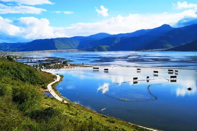 纳帕海(依拉草原)