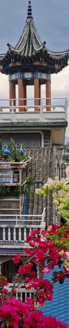 张家花园-大理市