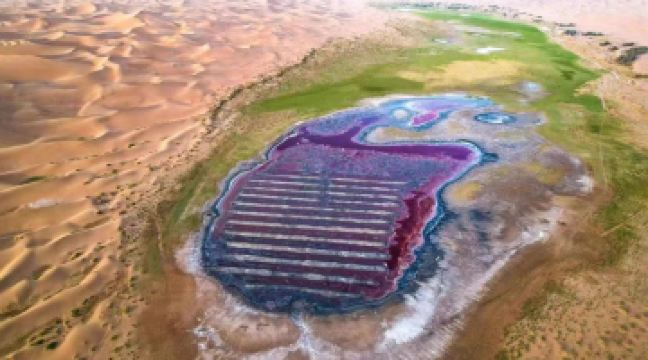 騰格裏沙漠吉他湖