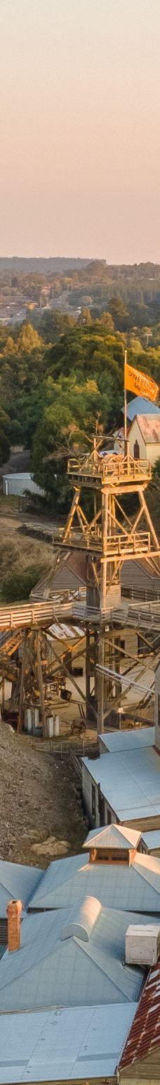 疏芬山-Golden Point