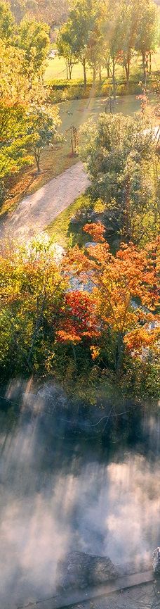 宁波植物园-宁波