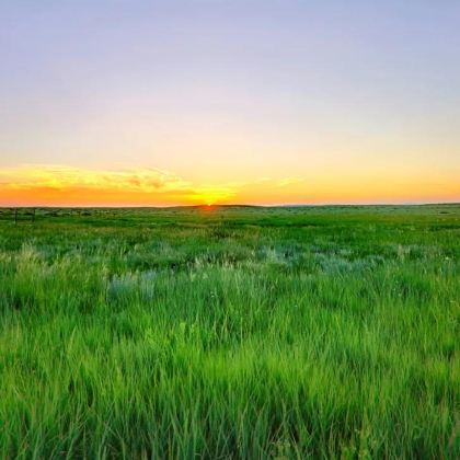 木兰围场+坝上+乌兰布统+塞罕坝国家森林公园3日2晚自由行