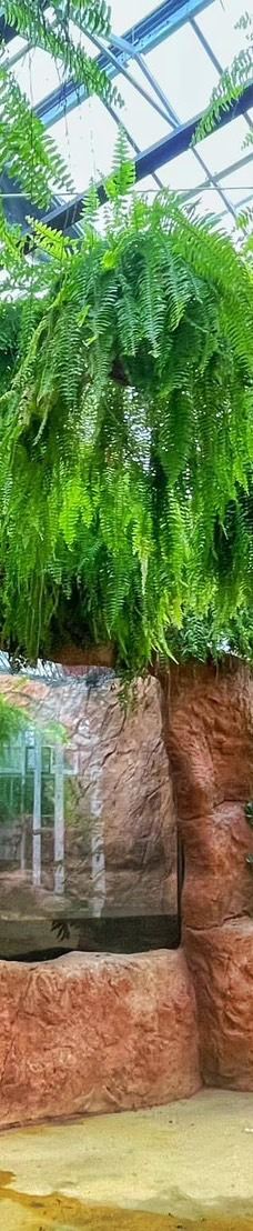 兰阳动植物王国-宜兰