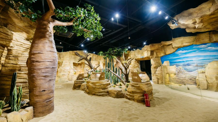 虫返侏罗纪·爬行动物博物馆