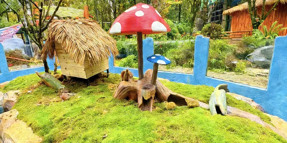 永安旅遊