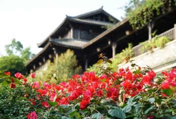 甘坑古镇+深圳湾公园+欢乐海岸海洋奇梦馆+较场尾+大鹏所城【私家小团丨独立包车丨车型可选丨优选行程丨管家服务丨上门接送】