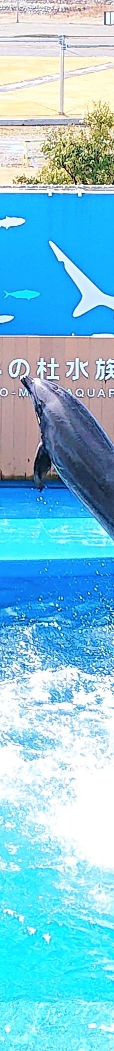 仙台海洋森林水族馆-仙台