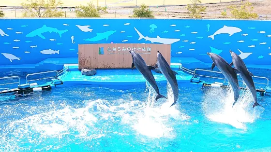 仙台海洋森林水族館