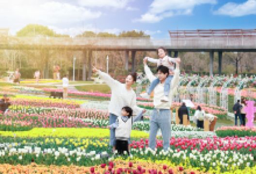 浦江郊野公园景点图片