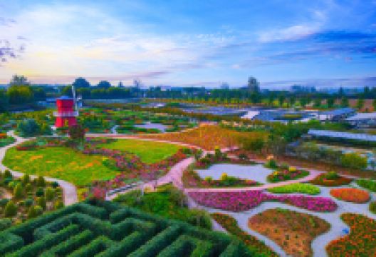 同心花海景点图片