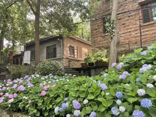 嘉阳桫椤湖旅游景区