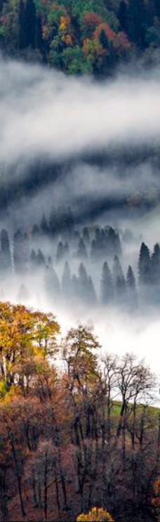 库尔德宁景区-巩留