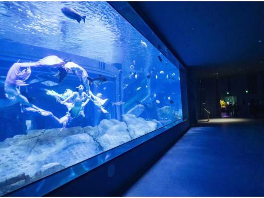 湖口县水族馆