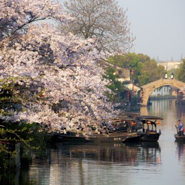 杭州+乌镇+西塘古镇3日2晚自由行