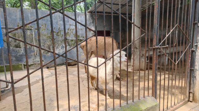 金鹗公园动物园