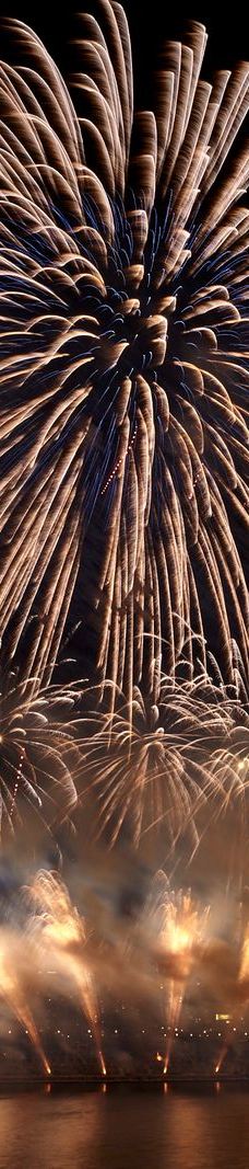 汝矣岛汉江公园-首尔