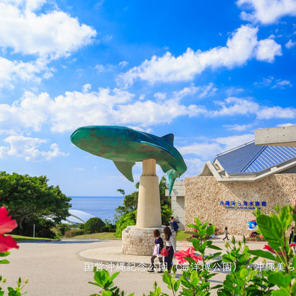 日本冲绳县+冲绳美丽海水族馆+海洋博公园+万座毛+琉球村+美国村一日游
