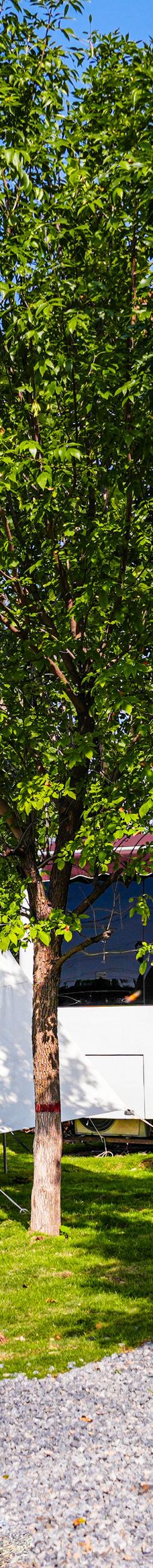 忆江南旅游度假区-荥阳