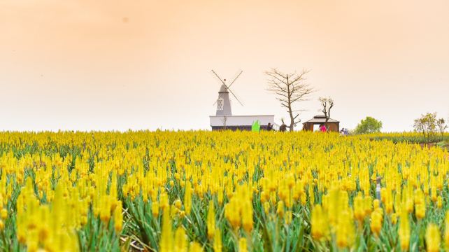 瑷露德玛芦荟庄园