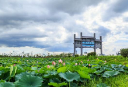 陶辛水韵景点图片