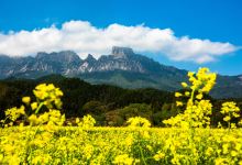 灵山风景区景点图片